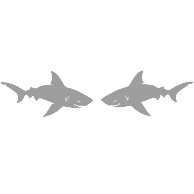 Shark: Teeth showing (pair facing one another)