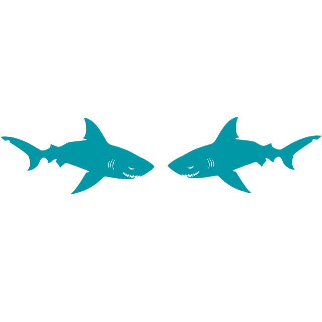 Shark: Teeth showing (pair facing one another)